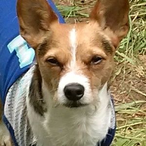 Meet your Posher, Jon